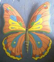 Colored butterfly